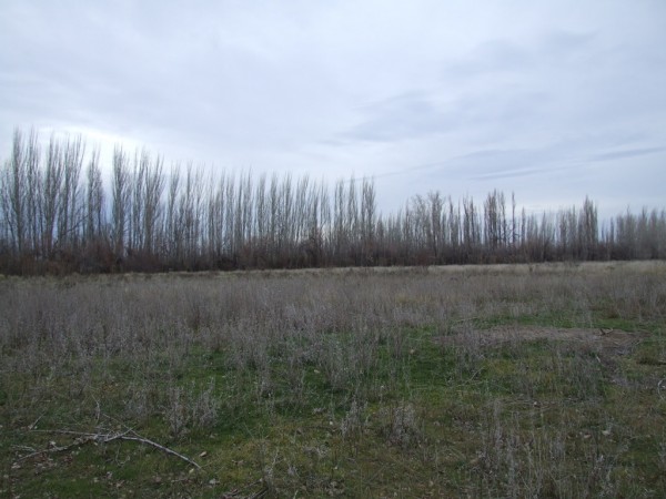 Chacra doce Hectareas y media