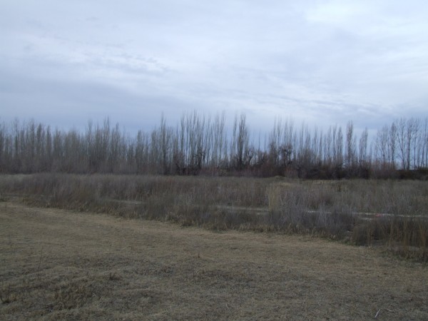 Chacra doce Hectareas y media
