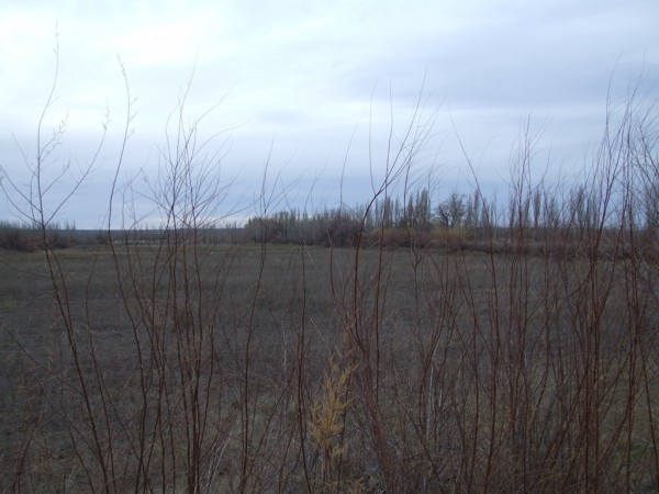 Chacra doce Hectareas y media