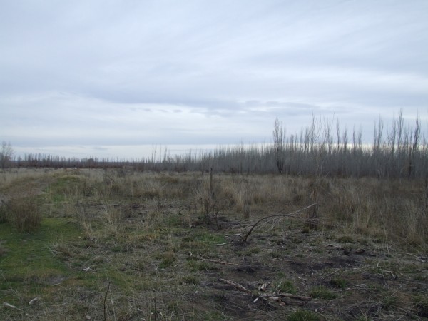 Chacra doce Hectareas y media